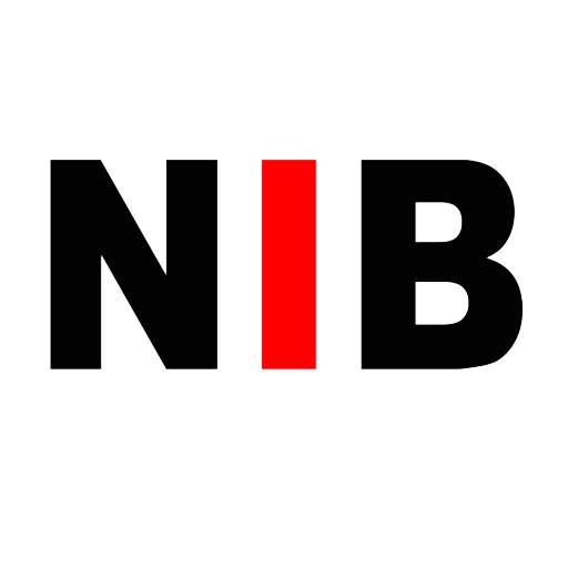 NIB School Answerkey 1.1