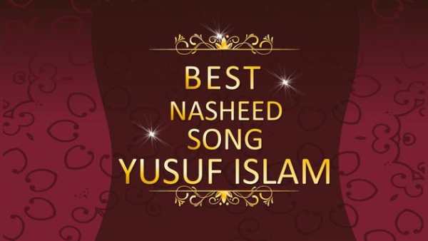 Yusuf Islam Nasheed Song mp3 offline screenshot 2