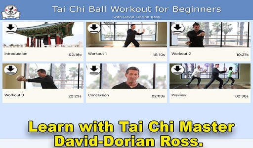 Tai Chi Ball Beginner screenshot 1