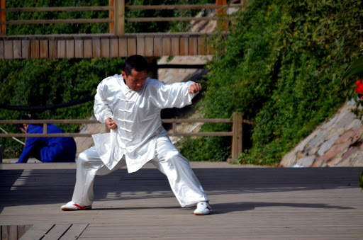 Learn Kung Fu Training 2020 5 تصوير الشاشة