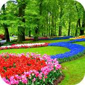 Garden Wallpapers on 9Apps