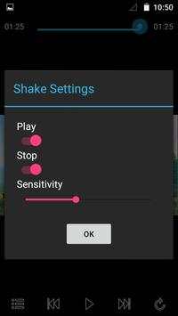 Background Player screenshot 2