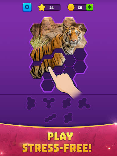 Hex Block Jigsaw screenshot 7