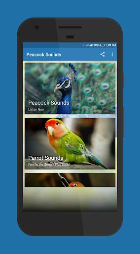 Peacock Sounds screenshot 1