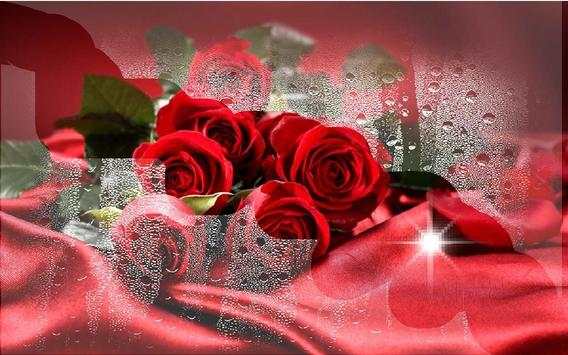 Valentine Roses live wallpaper screenshot 5