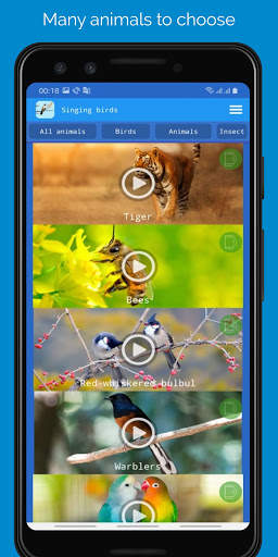 Singing Birds स्क्रीनशॉट 2