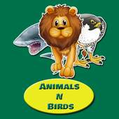 Animals and Birds Quiz 1.0