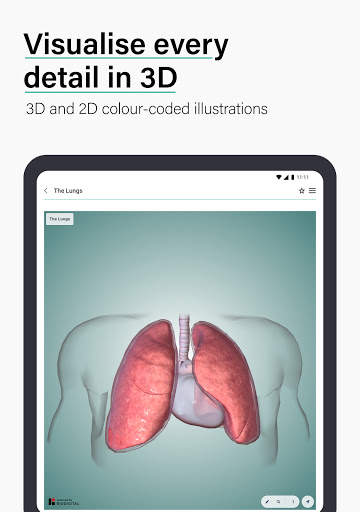 Teach Me Anatomy screenshot 6