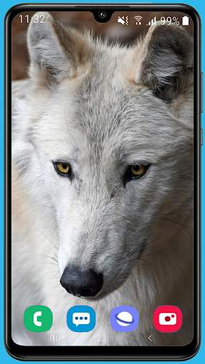 Wolf Wallpaper HD screenshot 10