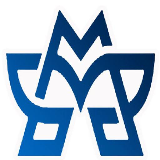 Memory VPN icon