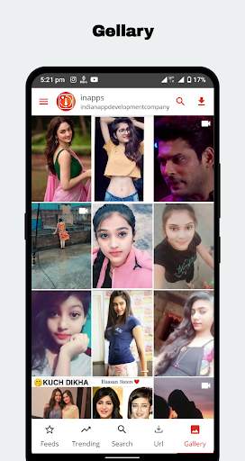 Reels Downloader: Story Saver screenshot 6