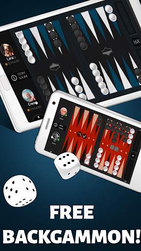 Backgammon Offline screenshot 2