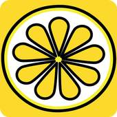 Lemon Group Messenger 1.5