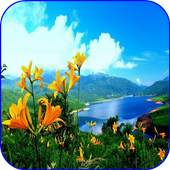 Nature Images For DP 2.0