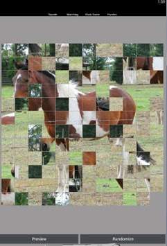 Horse Games Free screenshot 1
