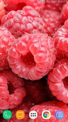 Fruit Wallpapers screenshot 6