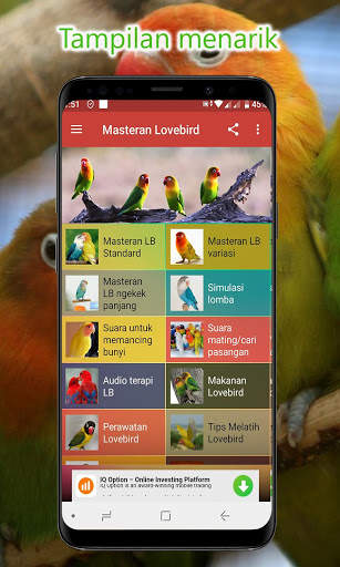 Masteran Lovebird Lengkap Offline screenshot 1