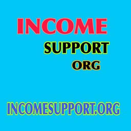 Income Support Mini 1.0