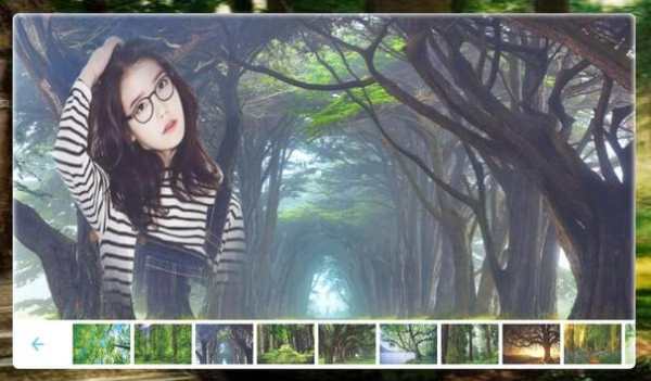 Forest Photo frame screenshot 5