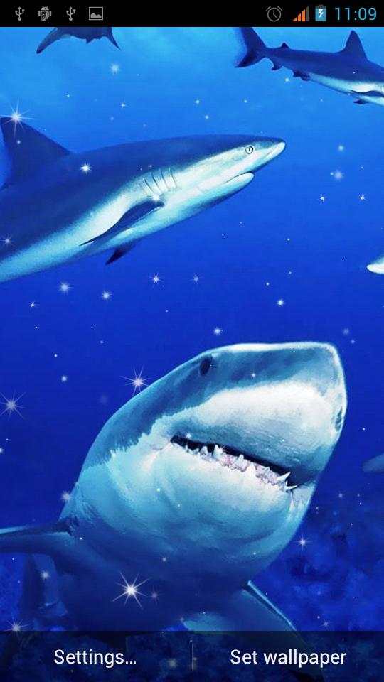 Shark Live Wallpaper скриншот 5