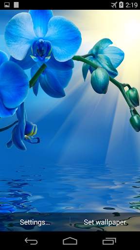 Blue Orchid Live Wallpaper screenshot 3