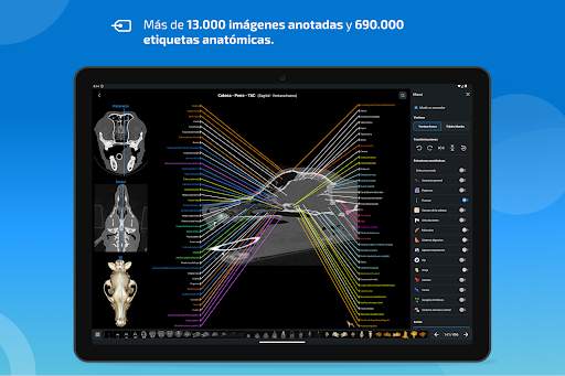 vet-Anatomy screenshot 10