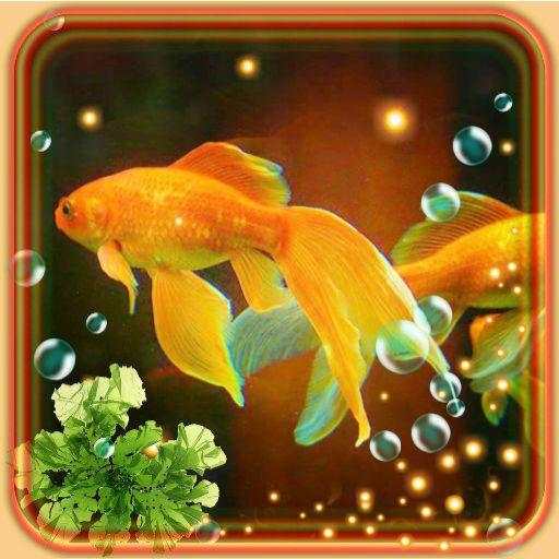Aquarium Gold Fishes LWP 1.13