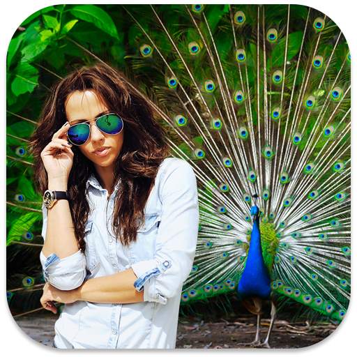 Peacock Photo Frames 1.1.1