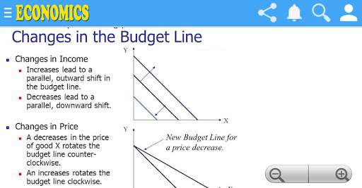 Economics Class 11th Notes Q & A screenshot 6