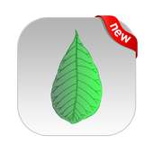 guide for Snapseed on 9Apps