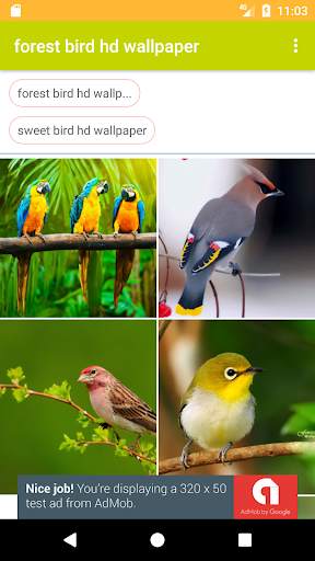 Sweet Bird HD FREE Wallpaper screenshot 1