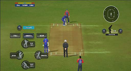Real cricket 2022 Riddle screenshot 3