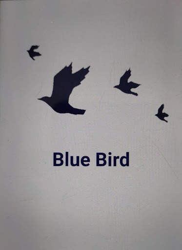 BLUE BIRD स्क्रीनशॉट 1