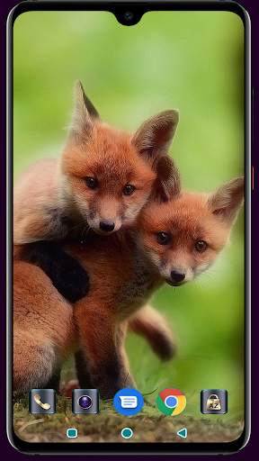 Fox Wallpaper 4K Latest screenshot 14
