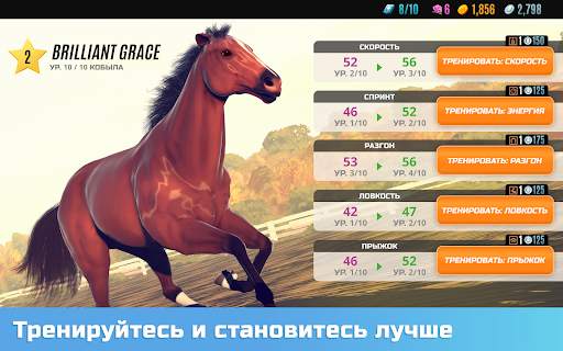 Состязание звезд: скачки скриншот 18