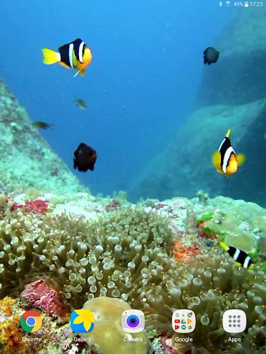Colorful Fishes Live Wallpaper 12 تصوير الشاشة