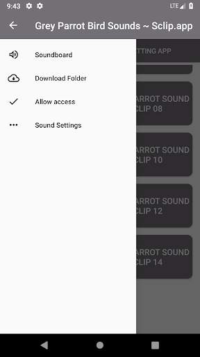 Grey Parrot Bird Sound Collections ~ Sclip.app screenshot 4