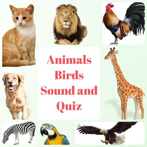 Animal and Bird Sound for Kids 1.1