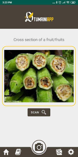 Tumaini screenshot 3