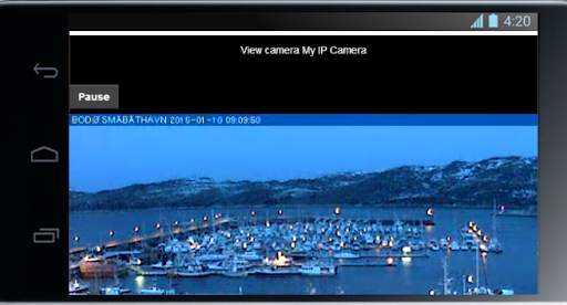 Web/IP Camera client screenshot 2