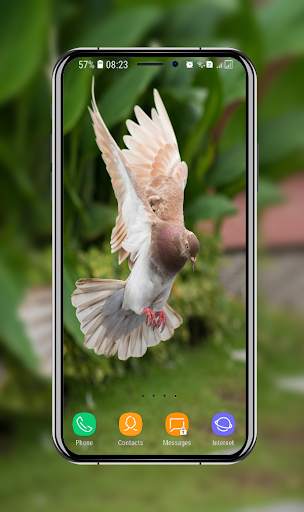 New Pigeon Wallpaper screenshot 13