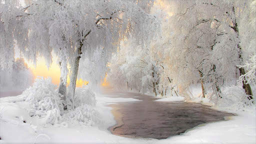 Winter Wallpapers : backgrounds hd screenshot 22