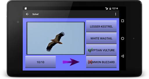 104 Birds Quiz screenshot 10