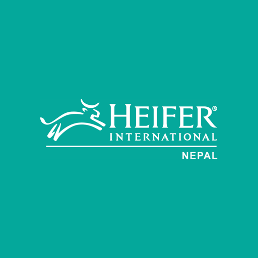 ikon Heifer-LFST