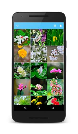 JS Camera - Filters & Collage screenshot 4