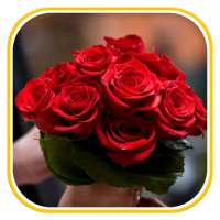 Rose Wallpapers on 9Apps