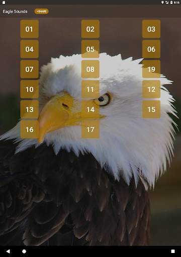 النسر الصوت ونغمات 6 تصوير الشاشة