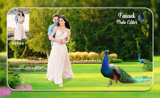 Peacock Photo Editor 2021 screenshot 5