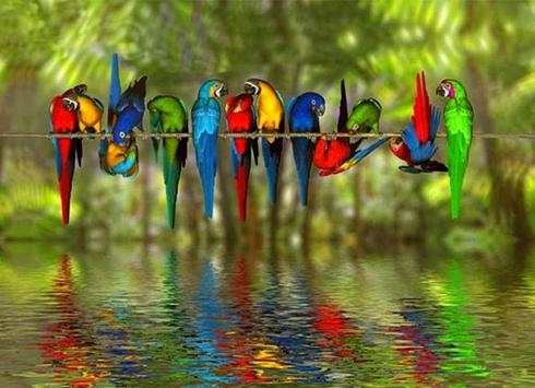 oh birds स्क्रीनशॉट 8