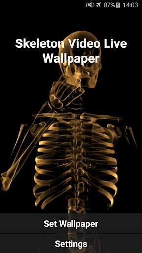 Skeleton Video Live Wallpaper screenshot 5